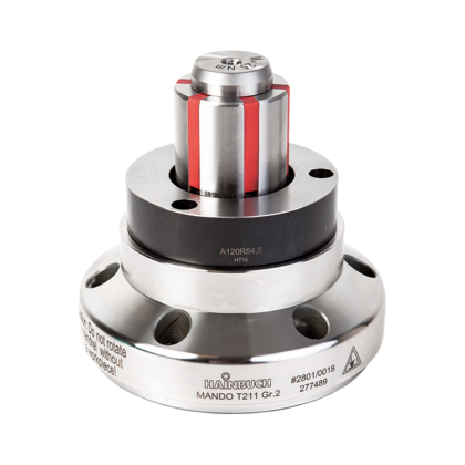 Hainbuch Spandoorn BIS