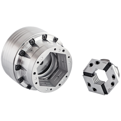 Hainbuch Spantanghouder Hainbuch Spantanghouder